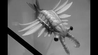 Anomalocaris R.I.P.