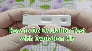 How to Do Ovulation Urine Test at Home by Using Ovulation Kit  Egg  Pregnancy  FastSign