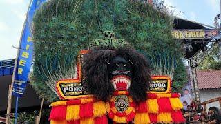 Keren Banget. Atraksi DUEL Gulung Seram BARONGAN Hitam Reog Ponorogo GEGERKAN Desa Coper