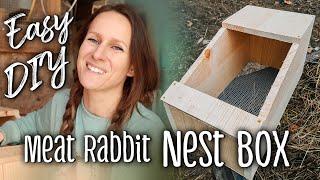 Rabbit Nest Boxes - Easy DIY for meat rabbits + some tips