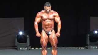 Mehdi Hatami - Competitor No 25 - Final - Class 212 - IFBB Pro - EVL Prague 2013