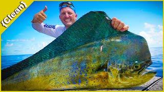 How to Fillet a Massive Mahi Mahi like a PRO {Clean} 2 different styles