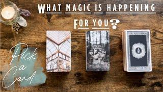 What Magic Is Happening For You?  What Is Coming Soon  Pick a Card  Pick a Charm  Pick a Dice