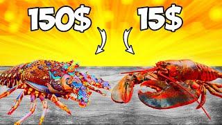 Lobster vs Spiny Lobster - What Is More Tasty?