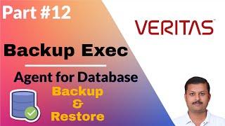 Veritas Backup Exec Agent for Database Configuration and Testing