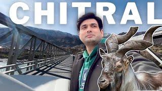 CHITRAL CITY & WILDLIFE - MARKHOR POINT - CHITRAL FORT & CITY - GRAND TOUR 2024 - EPISODE 3