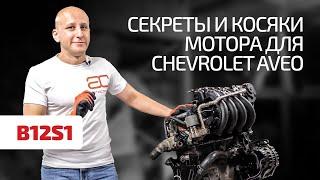 We reveal the secrets and highlight the weak points of the Chevrolet Aveo 1.2 engine. Subtitles