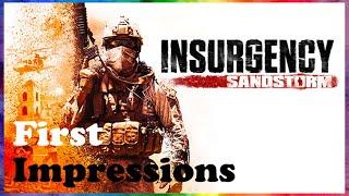 Insurgency Sandstorm - First Impressions PS4