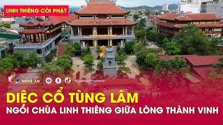 Linh thiêng cõi Phật Diệc Cổ Tùng Lâm - Ngôi chùa linh thiêng giữa lòng Thành Vinh