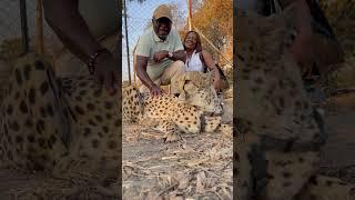 My brother-in-law Nkandu petting a cheetah 