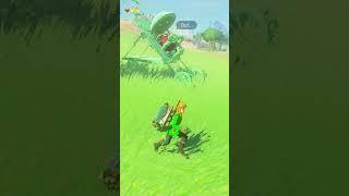 Legend Of Zelda Baby Korok