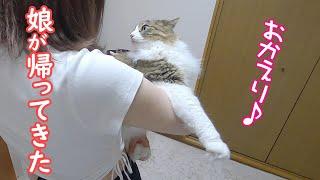 数か月ぶりに娘が帰ってきた時の猫の反応が可愛すぎました【保護猫／ダックス】