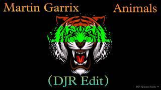 Martin Garrix - Animals DJR Edit