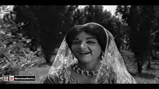 NI DIL DE KE NASIYE NA - MASOOD RANA & NOOR JEHAN - FILM NIKAY HONDEYAN DA PYAR