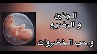 حب الخضروات يبداء في الرحم