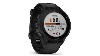 Garmin Forerunner 955 Is A Cheaper Fenix 7 With Most Of The Same Features