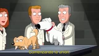 Brian ingresa a la exposición canina  Padre de Familia  Sub en español