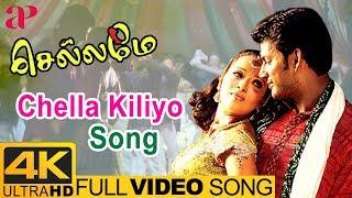 Chellame Tamil Movie Songs  Chella Kiliyo Video Song 4K  Vishal  Reema Sen  Bharat