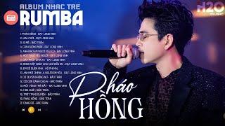 PHÁO HỒNG RUMBA - ALBUM NHẠC TRẺ RUMBA XUẤT SẮC NHẤT 2024 - ĐẠT LONG VINH Hay Nhất 2024