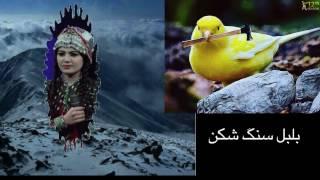 Zulala Hashemi Afghan star Funny زلاله صدای کوهی و وحشی داره