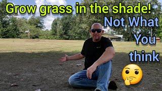 How to Grow Grass in the Shade