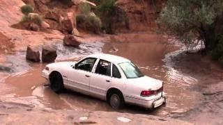 Crown Victoria on Baby Lions Back