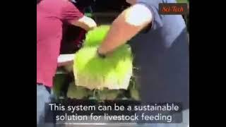 Fastest and cheapest Animal feed processing system