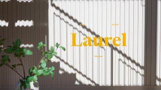 The Laurel House Sony A7S iii Cinematic Video Real Estate Video