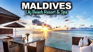 Maldives - Lily Beach Resort & Spa    Resort Tour