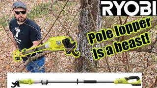 Ryobi  18v pole lopper makes the cut