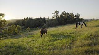 Oniya - Your Place to Run to in Montana