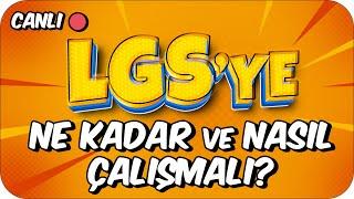 LGSye NASIL ÇALIŞMALI Günlük Soru Sayısı Ne Olmalı? 