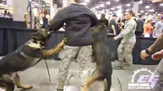 Dog Attack Demo with Jessie Keller of the USAF