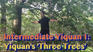 Intermediate Yiquan 1 Yiquans Three Trees