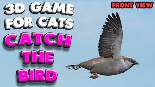 3D game for cats  CATCH THE BIRD front view  4K 60 fps stereo sound