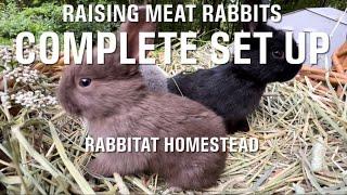 Raising Meat Rabbits Complete Setup  Silverfox Rabbits