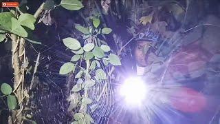SPIDER HUNTING AT NIGHT  MAG HANAP NG GAGAMBA SA GABI PART 2  MAYON VOLCANO ALBAY PHILIPPINES