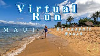 Virtual Running Videos MAUI Treadmill 4K  Virtual Run Jogging Scenery