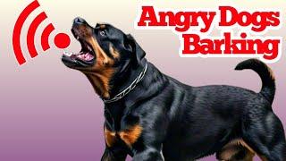 Dogs Barking  Barking Dog Sound Effect  कुत्ता की आवाज  Kutte Ki Awaaz