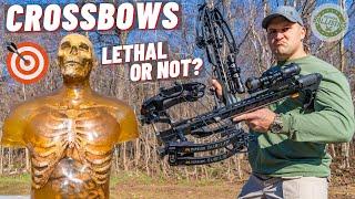 How Lethal Is A Crossbow ??? 