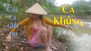 Câu cá giải trí - Dính cá Khủng