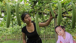 Harvest vegetables to sell at the market. grow cassava cook and enjoy a peaceful life