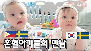 혼혈아기와 혼혈아기가 만나다   ft.마술사아빠&엄청난 아기들반응  ENG. Mixed babies meet