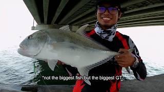 Memancing ikan bawah jambatan Pulau Pinang - Kuying Conqueror beat it