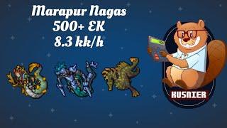 Marapur Nagas  5.5 kkh raw  500+ Knight  Tibia Hunting Guide