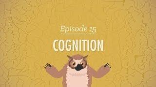 Cognition - How Your Mind Can Amaze and Betray You Crash Course Psychology #15