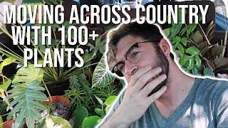 Moving Across Country with 100+ Plants  How to Move With Plants