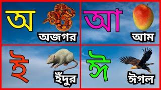 অ আ ই ঈ  অয় অজগর আসছে তেড়ে  Aye ajagar  Bangla sarborno  Kids Class in Bangla  अ आ इ ई