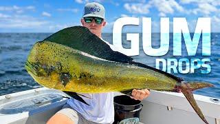 Mahi Fishing Only 2 miles Offshore