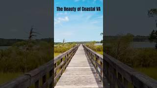 The Beauty of Coastal Virginia #travel #virginia #travelvlog #roadtrip
